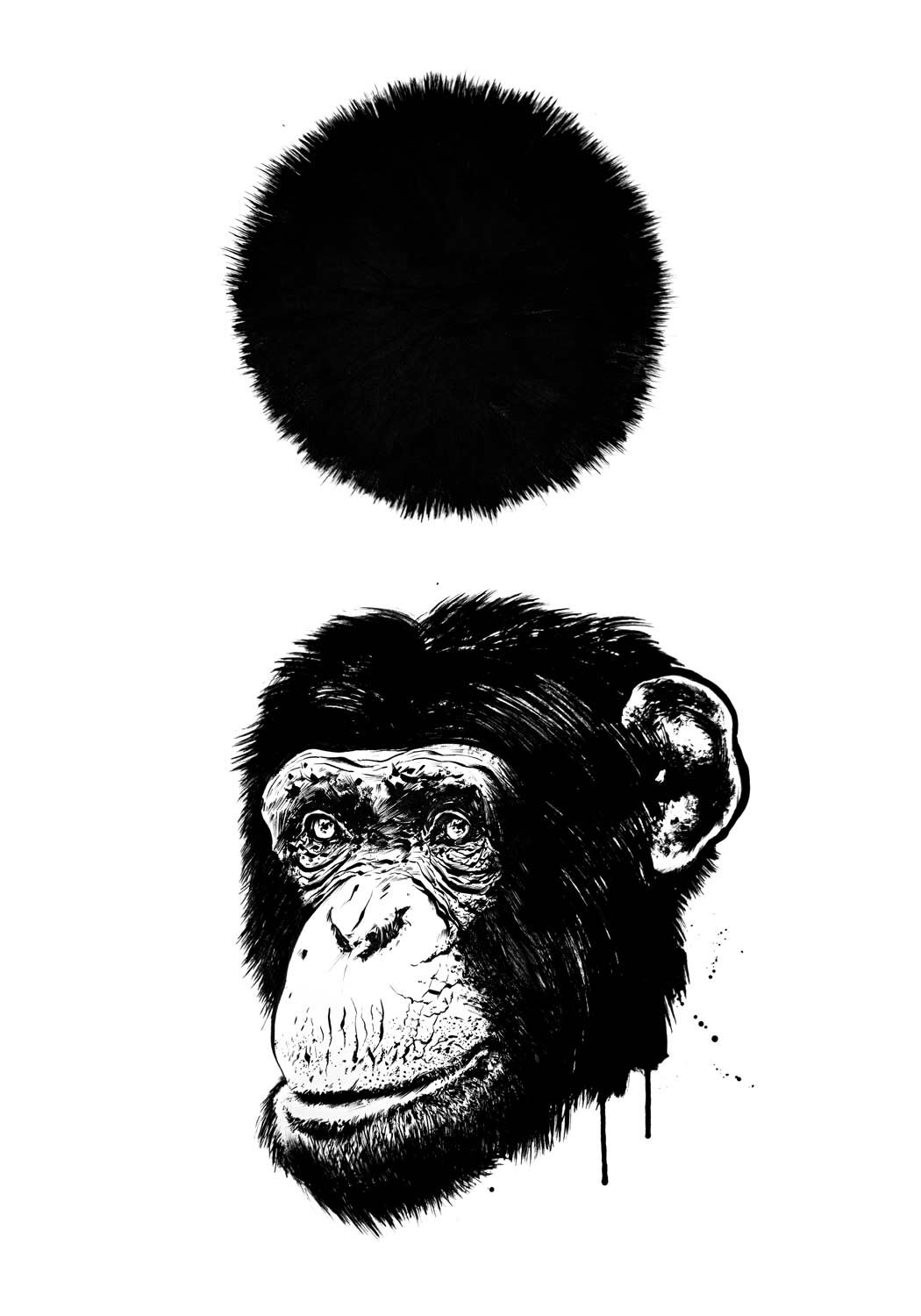 Kornel stadler illustration 1553 - Kornel Illustration | Kornel Stadler portfolio