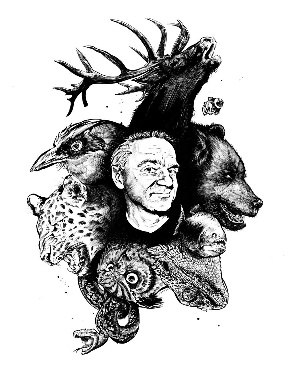 Kornel stadler illustration 1399 - Kornel Illustration | Kornel Stadler portfolio