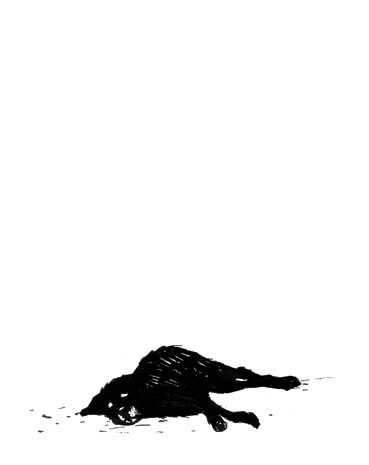 Kornel stadler illustration 892 - Kornel Illustration | Kornel Stadler portfolio