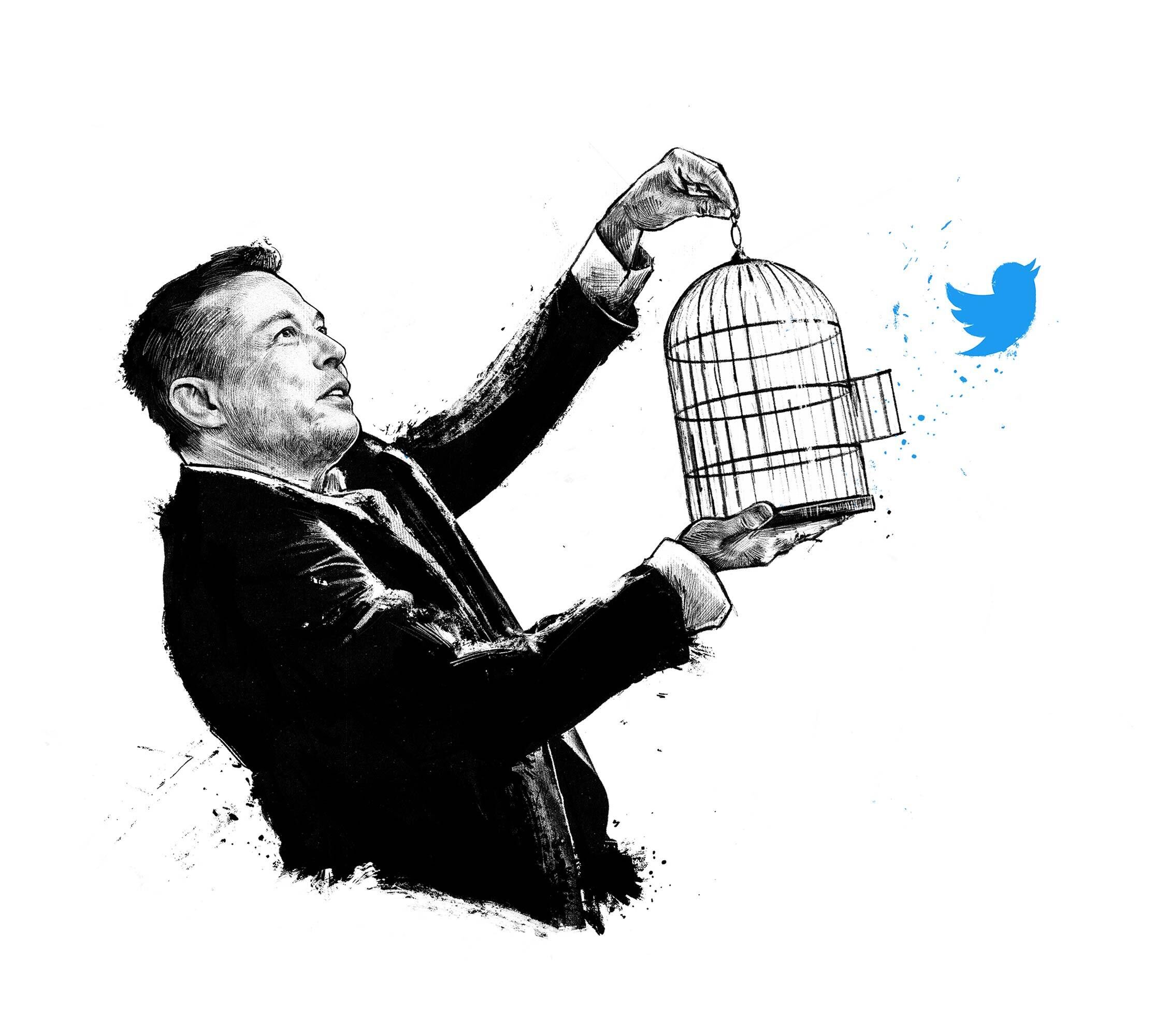 Illustration editorial conceptual concept elon musk free speech twitter drawing bird cage illustrated portaitillustration political illustrations - Kornel Illustration | Kornel Stadler portfolio