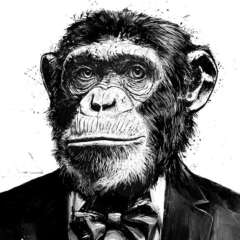 Work Franz kafka illustration illustrated art work drawing affe monkey ape artwork wein whine human humanoid Kornel Illustration | Kornel Stadler