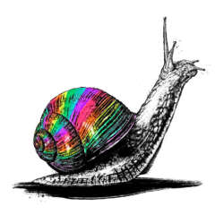 Work Pride snail schnecke lgbtq Artwork drawing art illustration kornel ink gallery zeichnung kunst Kornel Illustration | Kornel Stadler
