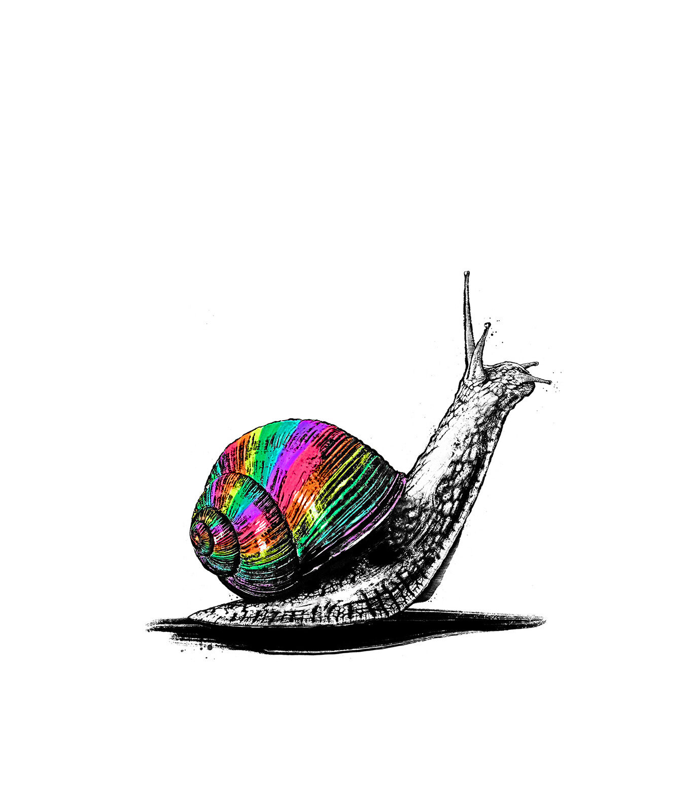 Pride snail schnecke lgbtq Artwork drawing art illustration kornel ink gallery zeichnung kunst - Kornel Illustration | Kornel Stadler portfolio