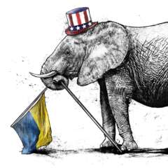 Work Illustration editorial conceptual concept elephant midterms usa ukraine democrats republicans drawing caricature Kornel Illustration | Kornel Stadler