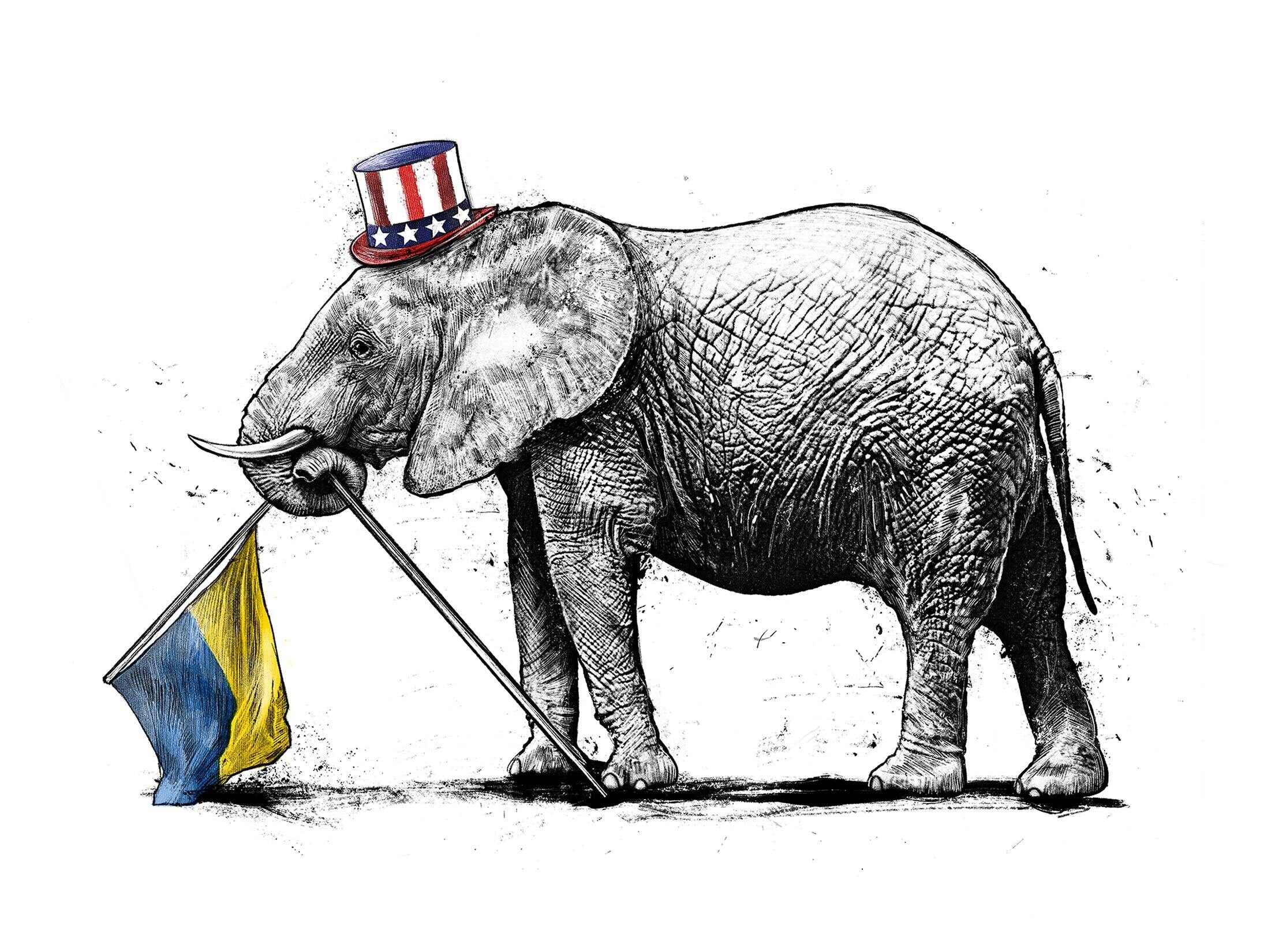 Illustration editorial conceptual concept elephant midterms usa ukraine democrats republicans drawing caricature - Kornel Illustration | Kornel Stadler portfolio