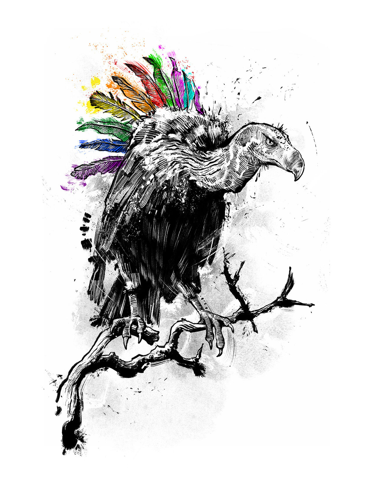 Pride geier illustration diversity rainbow regenbogen vulture - Kornel Illustration | Kornel Stadler portfolio